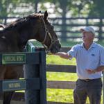 Ask Your Equine Valentine To ‘Be Mine’: Visit Horse Country's Carrot Grams Benefit Stable Recovery  