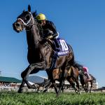 Experience on Unique Turf Course a Key Factor in Kentucky Turf Sprint