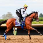 Making Money Betting Hughes in the Breeders’ Cup Juvenile