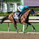Equibase Leaderboard: Major Movement in Juvenile Male Division After Busy Weekend