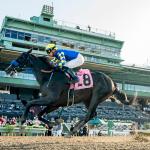 Imagination, Cavalieri Earn Breeders’ Cup Berths with Impressive Wins at Santa Anita