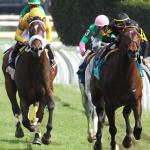 Horses to Know at the 2019 Royal Ascot Meet