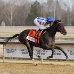 2026 Kentucky Derby Prospect Profiles: Virginia Derby Winner Incredibolt 