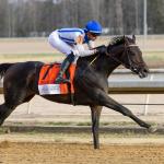 Bargain Hunting: A Big Auction Price is Rarely Predictive of Kentucky Derby Success