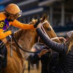 Equibase Leaders: Irad Ortiz Jr. Nears Single-Season Earnings Record