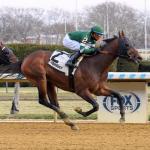 2026 Gotham Stakes at a Glance