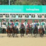 2025 Iroquois Stakes at a Glance
