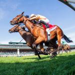 Horse Racing Explained: What Is a Dead Heat?