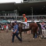 Equibase Standings: Journalism, Chad Brown Thrive on Jersey Shore