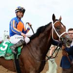 2025 Preakness Stakes Winner Journalism Retired