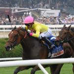 Betting on Another Chad Brown-Trained Winner in 2026 Flower Bowl Stakes