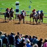 Eight New Year’s Resolutions in 2026 for Horse Racing Fans