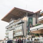 Where to Watch/Listen: Horse Racing Coverage Feb. 12-16