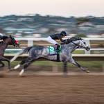 Knicks Go Named 2021 World's Best Racehorse in Longines Rankings