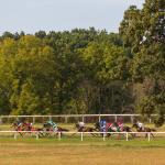 Noel’s Weekend Winners: Huge Fields, Potential Huge Profits at Kentucky Downs