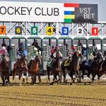 Maryland Million Quick Sheet: Get to Know the 2021 Classic Horses