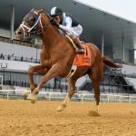 Locked Enters Breeders' Cup Power Rankings Top Ten, Sovereignty Remains First