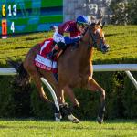 Equibase Rankings: Standout Turf Filly Lush Lips Moves Up Earnings Leaderboard