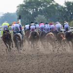 2025 Ontario Derby at a Glance