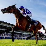 International Racehorses to Know for the 2020 Breeders’ Cup