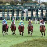 2026 Maker’s Mark Mile Stakes at a Glance