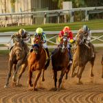 Main Win Contenders in 2025 Malibu Stakes