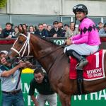 Maximum Security Set to Return in Cigar Mile