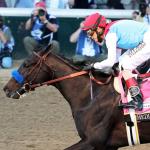 A Closer Look at Derby Winner Medina Spirit and His Preakness Chances