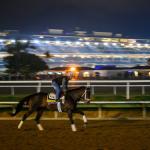 Mindframe Can Pull the Upset in Breeders’ Cup Classic