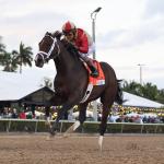 2026 Kentucky Derby Prospect Profiles: Holy Bull Stakes Winner Nearly 