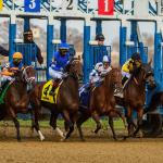 Banking on a ‘Believable’ Result in 2026 Demoiselle Stakes 