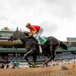 2026 Goodwood Stakes Cheat Sheet