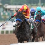 Buy or Sell on Road to Breeders’ Cup: Goodwood Stakes Winner Nevada Beach