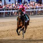 Ten Fun Facts About the 2026 Breeders’ Cup Challenge Series