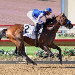Buy or Sell on Road to Breeders’ Cup: San Diego Handicap Winner Nysos 