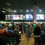 It’s in the Numbers: How Horse Racing Can Appeal to Sports Bettors