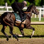 Ocelli Primed to Earn First Career Win in Preakness Stakes