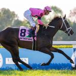Buy or Sell on Road to Breeders’ Cup: Kentucky Turf Cup Winner Ole Crazy Bone
