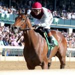 Looking Past the Favorites in the 2025 Chilukki Stakes 