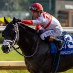 Equibase Rankings: Duel for Top-Earning Jockey Goes Down to the Wire