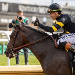 Equibase Leaderboard: Irad Ortiz Jr. Surpasses $16 Million in 2026 Earnings