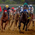 Where to Watch/Listen: Horse Racing on Labor Day Weekend 2025