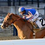 2026 Kentucky Derby Prospect Profiles: Remsen Stakes Winner Paladin