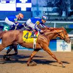 2026 Kentucky Derby Prospect Profiles: Risen Star Stakes Winner Paladin 