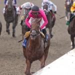 2025 Plate Trial Stakes at a Glance