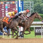 Two Horses to Bet with Tiz the Law in a Travers Trifecta