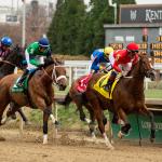 Betting the 2025 Falls City Stakes on a $40 Budget