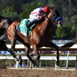 Equibase Standings: Three Trainers in Tight Earnings Race as Spring Begins