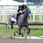 Key Takeaways from Preakness Stakes Weekend at Laurel Park