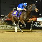 Rookie Rankings for Dec. 23: Leading 2026 Kentucky Derby Contenders